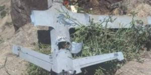 اخبار اليمن | طائرة مسيّرة حوثية تستهدف منزل مواطن في الضالع وأخرى تسقط في أبين