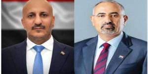 اخبار اليمن | عيدروس الزُبيدي وطارق صالح في اتصال بينهما: لا حل سلمي مع المليشيات الحوثية إلا بوقف التصعيد