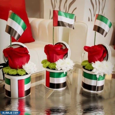 توزيعات يوم العلم الاماراتي