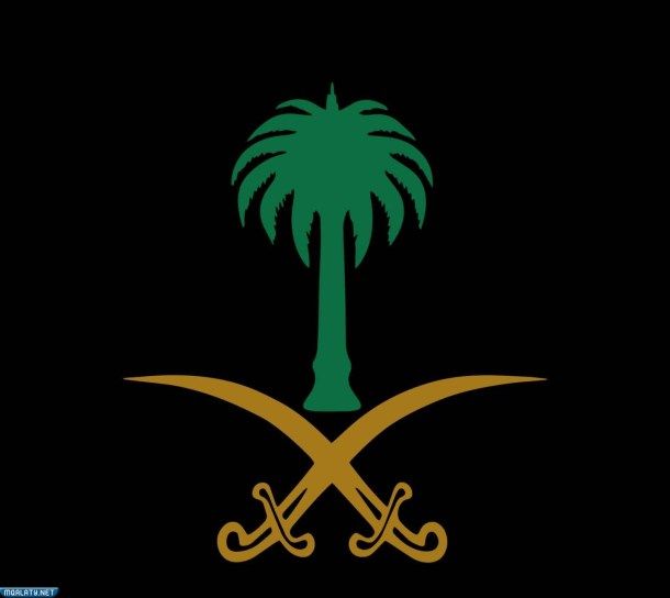 صور شعار السعودية سيفين ونخله