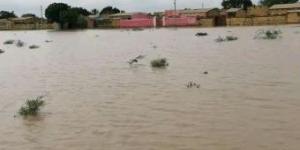 اخبار السودان من كوش نيوز - خسائر ماديىة كبيرة جراء السيول بوحدة مصنع سكر حلفا الجديدة
