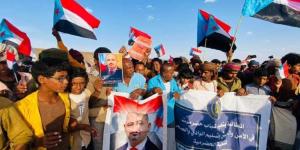 مسيرة جماهيرية حاشدة في مديرية ساه تطالب بتنفيذ الشق العسكري من اتفاق الرياض وإخراج المنطقة العسكرية الأولى”صور”