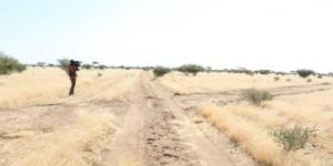 اخبار الإقتصاد السوداني - الزراعة بالخرطوم تؤكد الحرص على حماية المراعي الطبيعية