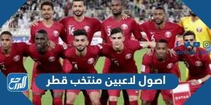 اخبار رياضية - اصول لاعبين منتخب قطر من وين