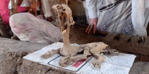 اخبار اليمن | العثور على مومياء أثرية عمرها أكثر من 5 آلاف سنة غربي اليمن (صور)