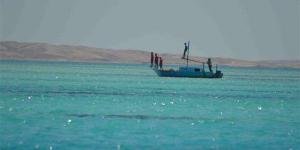 اخبار اليمن الان | غرق سفينة يمنية قبالة سواح الصومال