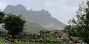 اخبار اليمن | مجهولون ينبشون إحدى المقابر في سنحان بصنعاء لنزع الأسنان والصفائح الذهبية من رفات الموتى