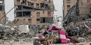 قطر عن مفاوضات غزة: تفاءلوا لكن بحذر