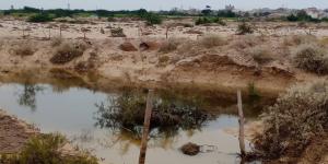 قطاع الزراعة في اتحاد شباب الغد ينفذ نزولاً ميدانياً ويحصر أضرار السيول في مزارع الغيضة