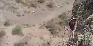 اخبار اليمن | حادث مروع.. مقتل وإصابة 7 أشخاص إثر سقوط سيارة من منحدر سحيق بصنعاء خلال عودتهم من السعودية (فيديو)