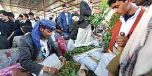 اخبار اليمن | الحوثيون يضربون سمعة ”القات” المحلي وإنهيار في اسعاره (تفاصيل)