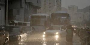 الأرصاد السعودية تحذر من الأمطار الرعدية والأتربة المثارة في بعض مناطق المملكة (فيديو)