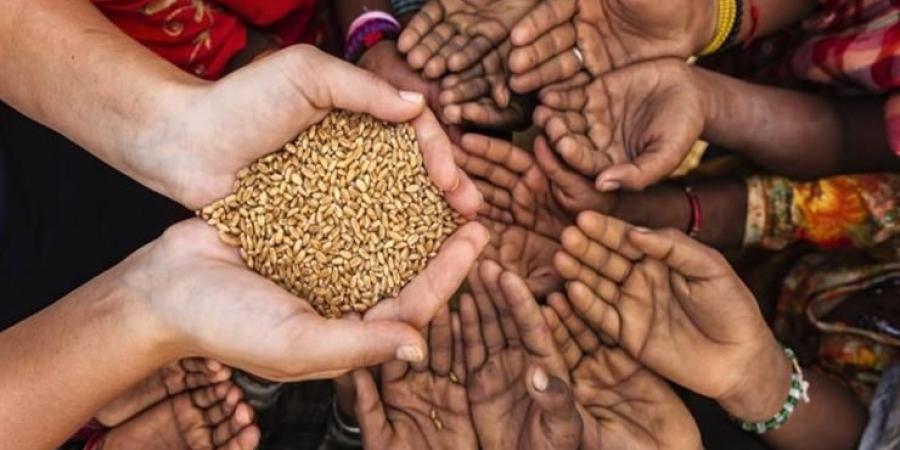 اخبار الإقتصاد السوداني - ثقب في (سلة غذاء العالم).. الجوع يحاصر 18 مليون سوداني