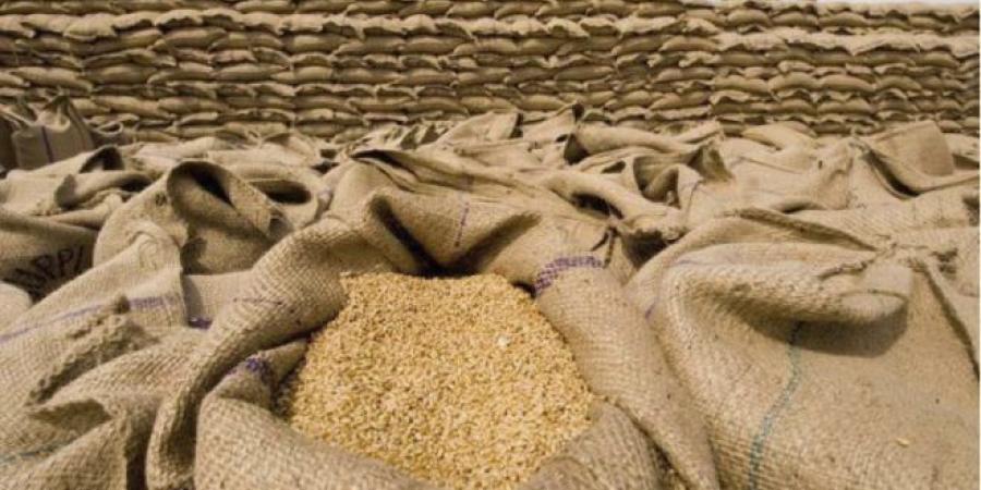 اخبار الإقتصاد السوداني - بنك السودان المركزي يعلن"خطوة" تّجاه محصول القمح بدنقلا