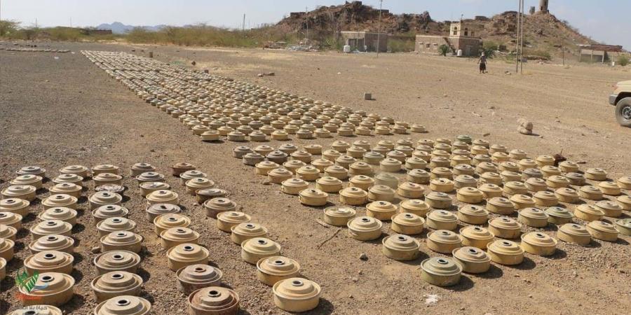“مسام” ينزع 1.423 لغمًا في اليمن خلال أسبوع