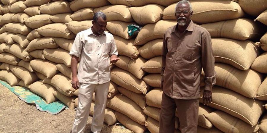 اخبار الإقتصاد السوداني - تصدير كميات كبيرة من (حب البطيخ) إلى مصر