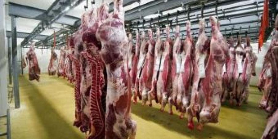 اخبار الإقتصاد السوداني - تصدير أكثر من 9 آلاف طن من اللحوم