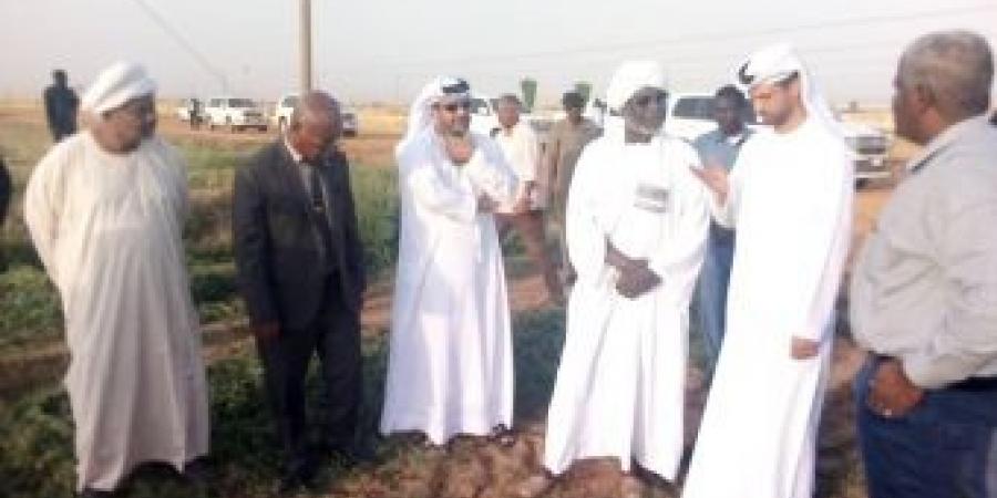 اخبار الإقتصاد السوداني - مجلس مشروع امطار الزراعي بالشمالية يستعرض التحديات التى تواجه المشروع