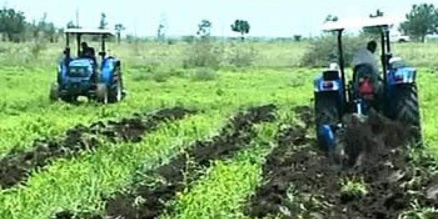 اخبار السودان من كوش نيوز - القطاع المطري: عدم الاهتمام بالزراعة يلقي بظلال سالبة