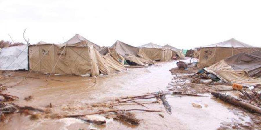 تضرر 650 أسرة نازحة بسبب الأمطار في الحديدة وحضرموت