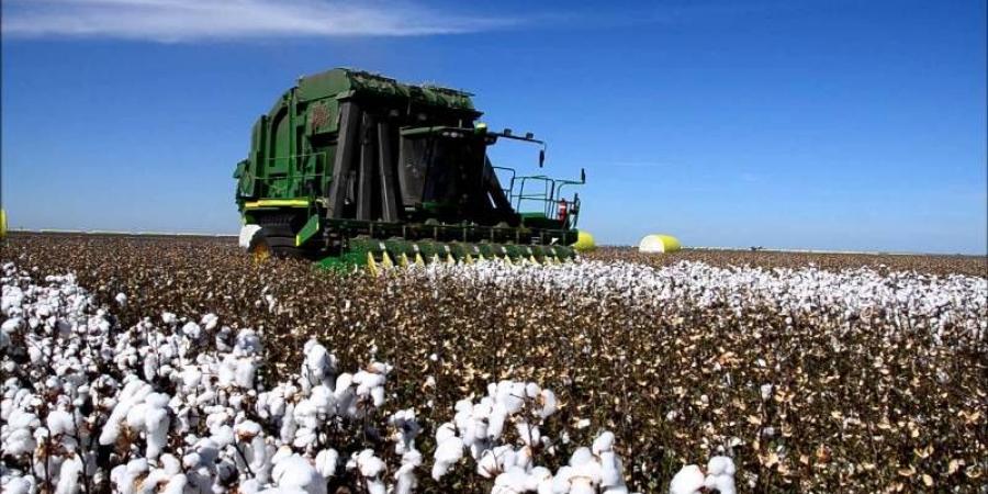 اخبار الإقتصاد السوداني - شراكات مع شركات تركية للإستثمار في زراعة القطن بالسودان