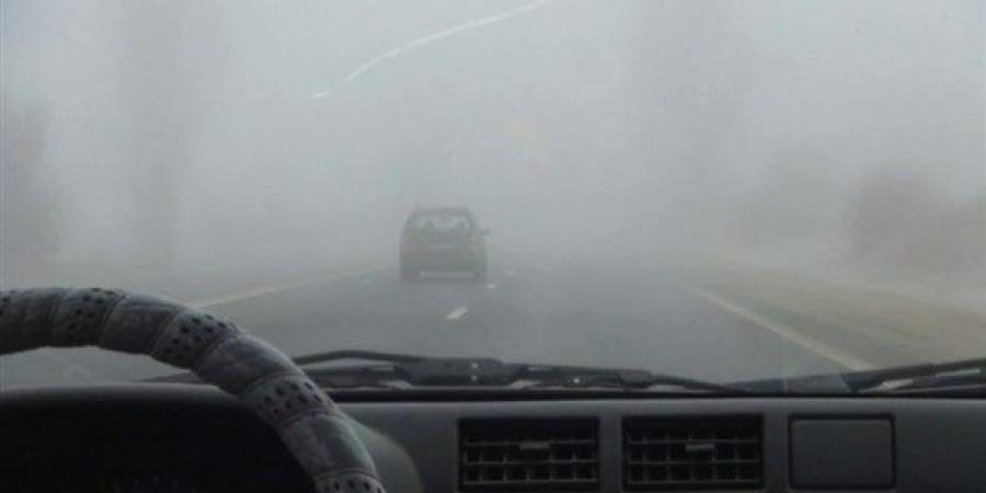 اخبار الامارات - في ظل التقلبات الجوية.. ماذا تفعل عند تكون الضباب الكثيف أثناء القيادة؟