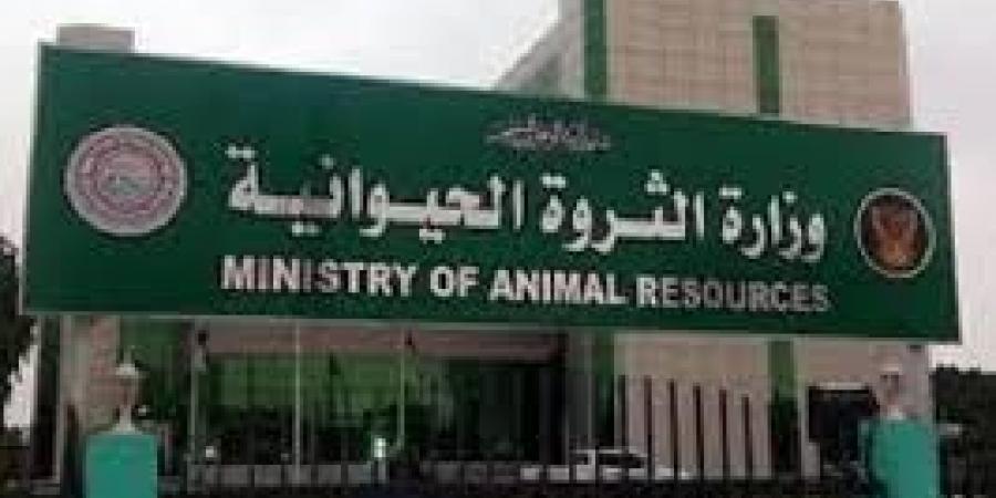اخبار الإقتصاد السوداني - وزير الثروة الحيوانية يبحث استعادة تصدير الهجن للإمارات