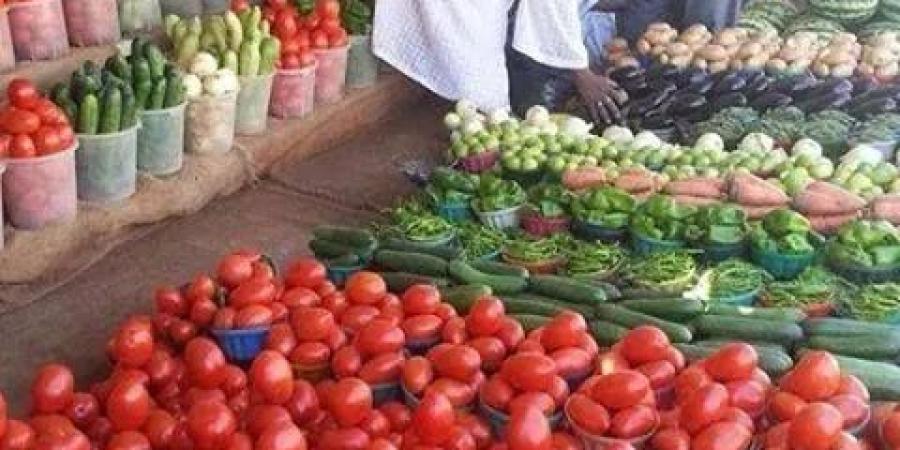 اخبار الإقتصاد السوداني - زيادات طفيفة في أسعار الخضروات في الأسواق