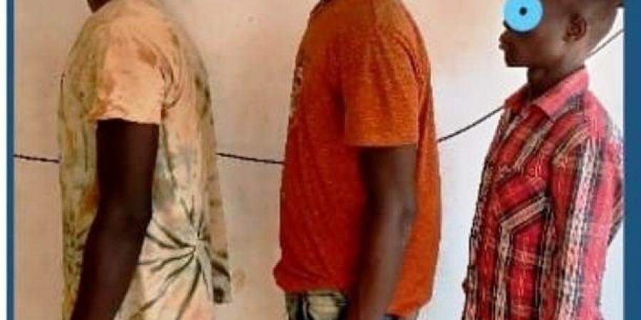 اخبار السودان الان - ضبط متهمين في بلاغات نهب وتعدي وتوقيف أخطر معتادات الإجرام