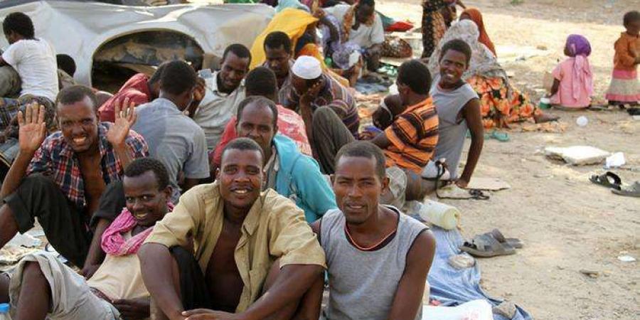 الهجرة الدولية: دخول أكثر من ثلاثة آلاف مهاجر أفريقي لليمن خلال شهر