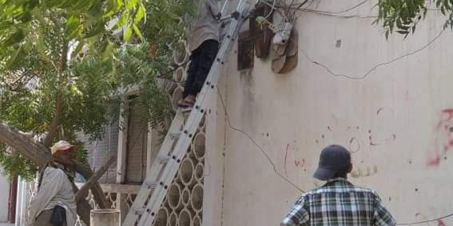 تواصل أعمال صيانة الإنارة في شوارع وأحياء المعلا
