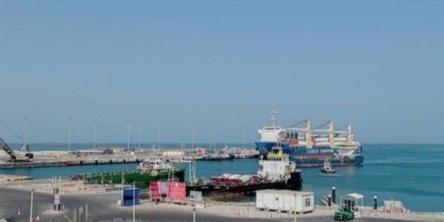 اخبار الامارات - موانئ أبوظبي تستقبل أول شحنة دولية في ميناء مغرق