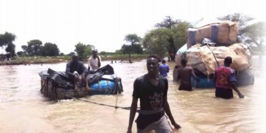 اخبار السودان من كوش نيوز - (الطرور) في دارفور.. رحلة الصناعة ومخاطر الغرق!