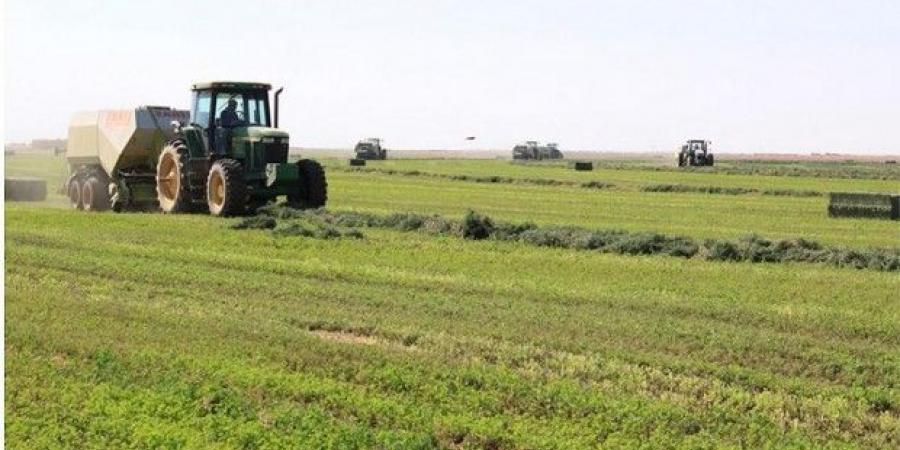 اخبار الإقتصاد السوداني - اتجاه لاعادة تاهيل المشاريع الزراعية بالخرطوم