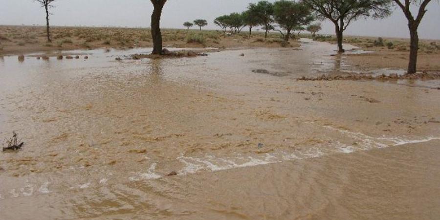 اخبار السودان من كوش نيوز - نهر الدندر يسجل زيادات جديدة ويشكل خطورة على كبري خور ودالحسن