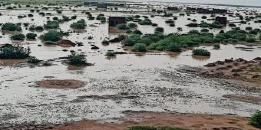 اخبار الإقتصاد السوداني - الأمطار والسيول بالنيل الأزرق تتلف 23 الف فدان من المحاصيل