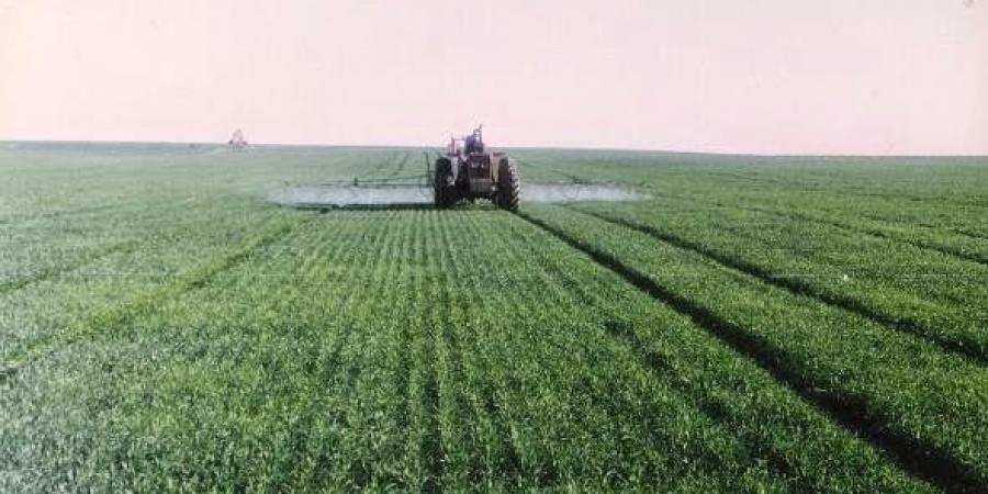 اخبار الإقتصاد السوداني - مشروع القرير الزراعي: المحاصيل الصيفيه ناجحة هذا العام