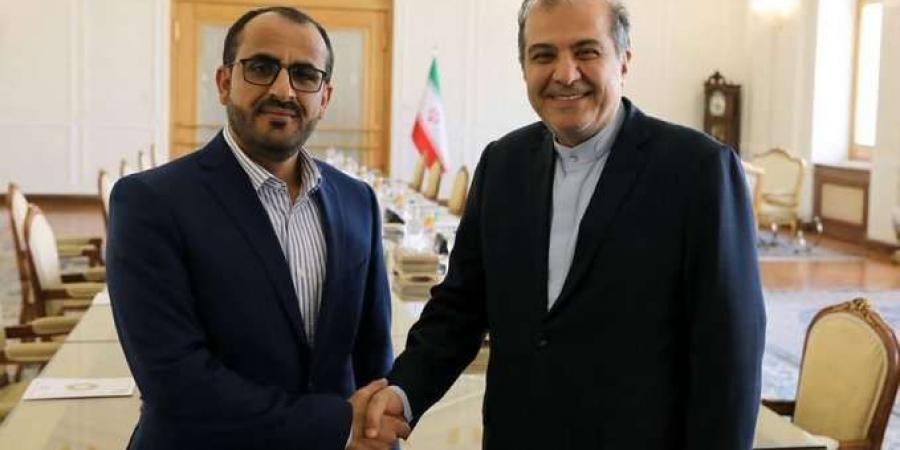 ناطق الحوثيين يلتقي معاون وزير الخارجية الإيراني