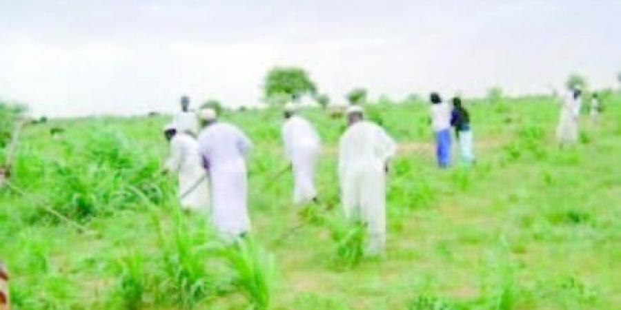 اخبار الإقتصاد السوداني - 700 مليون جنيه لصغار المزارعين ب(4) ولايات