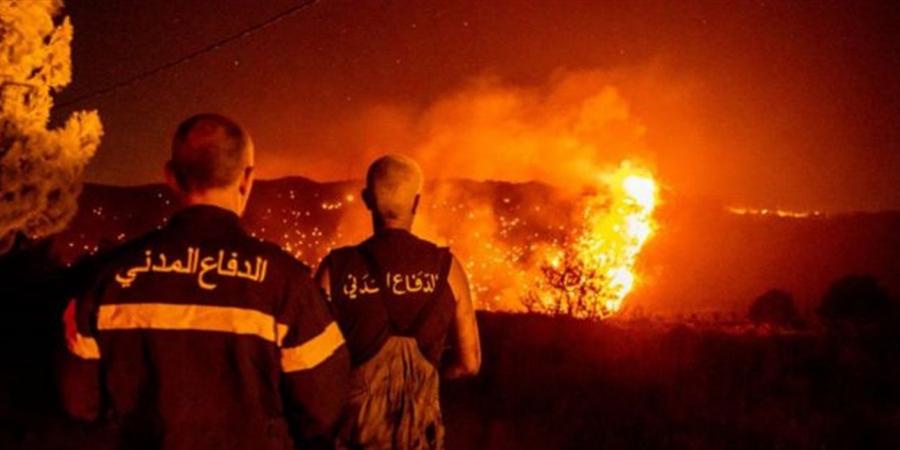 اخبار لبنان : لجنة البيئة عرضت خطة طوارىء للحد من مخاطر حرائق الغابات