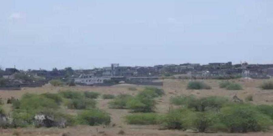 اخبار اليمن | مليشيا الحوثي تشن قصفاً مدفعياً على مناطق سكنية جنوبي الحديدة