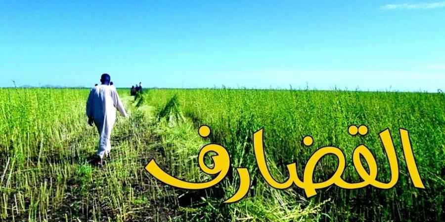 اخبار الإقتصاد السوداني - الدعوة لقيام تكتلات اقتصادية من المزارعين بالقضارف