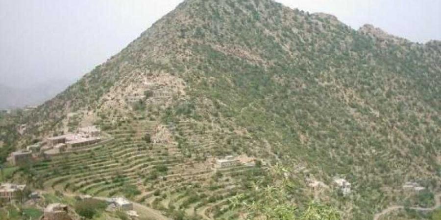 اخبار اليمن | هجوم حوثي للسيطرةعلى جبل استراتيجي .. وإعلان عسكري للجيش الوطني