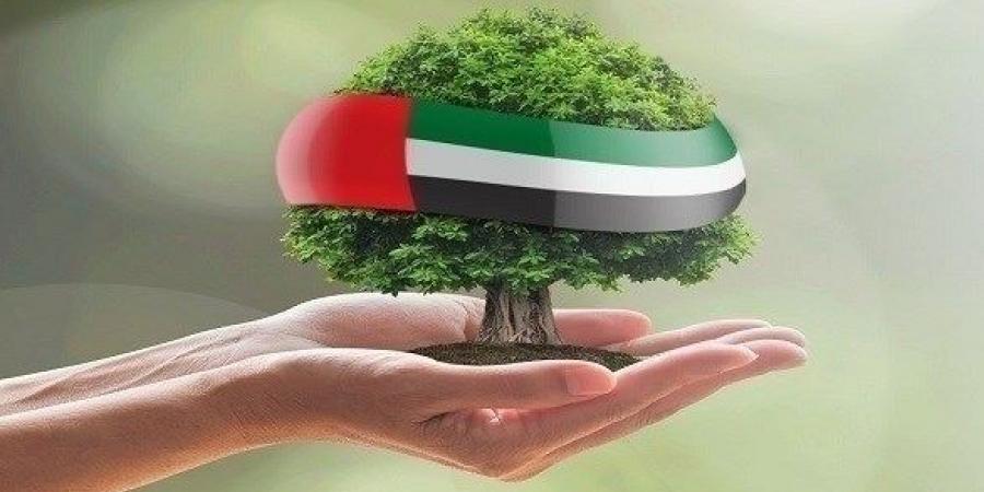 اخبار الامارات - إمكانيات ومشاريع عملاقة داعمة لجهود الإمارات في العمل المناخي