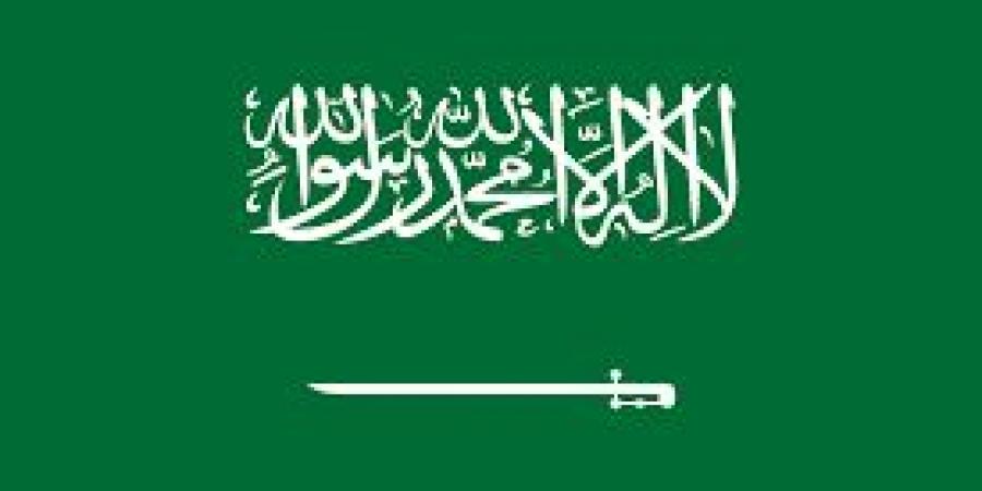 السعودية: ميليشيات الحو-ثي تصر على تنفيذ عمليات "إرهابية" ضد موانئ اليمن