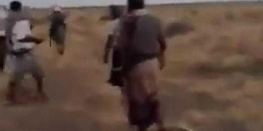 اخبار اليمن | شاهد بالفيديو القتل بدم.. مليشيا الحوثي ترتكب جريمة شنيعة بحق أسرة يمنية