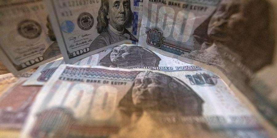 اخبار الإقتصاد السوداني - مصر تعلن خطوة تّجاه"أزمة الدولار"
