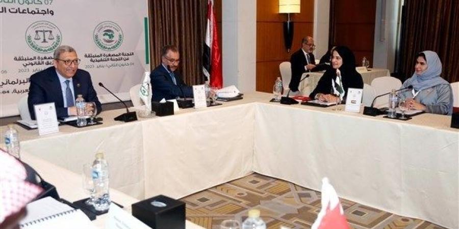 اخبار الامارات - الشعبة البرلمانية الإماراتية تشارك في اجتماع اللجنة المصغرة للفريق القانوني للاتحاد البرلماني العربي