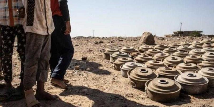 اخبار اليمن | معهد فرنسي ينظم فعالية حول الحرب في اليمن