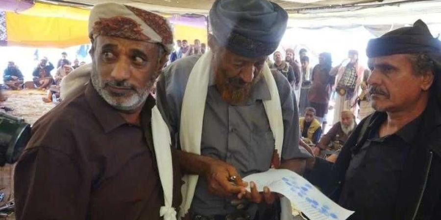 اخبار اليمن | بن عديو يقدم نجليه ”تحكيم مطلق ” و ينهي قضية ثأر عمرها 80 عاماً في شبوة